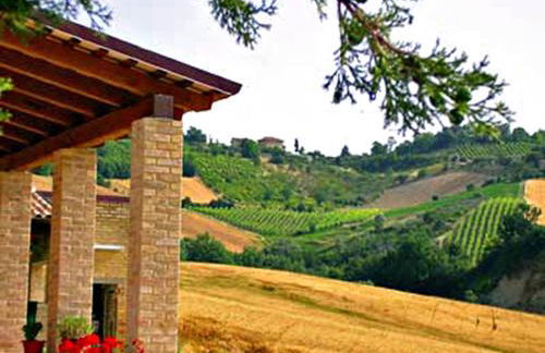 Agriturismo La Cicala - Foto 2