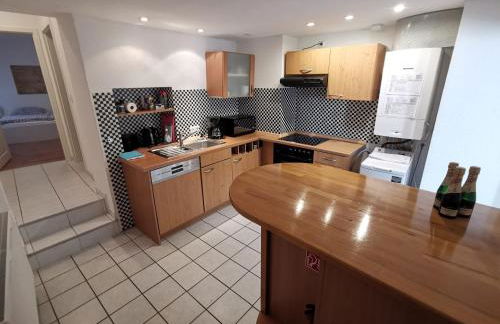 Ferienwohnungen Neckarblick - Heidelberg Altstadt - Foto 9