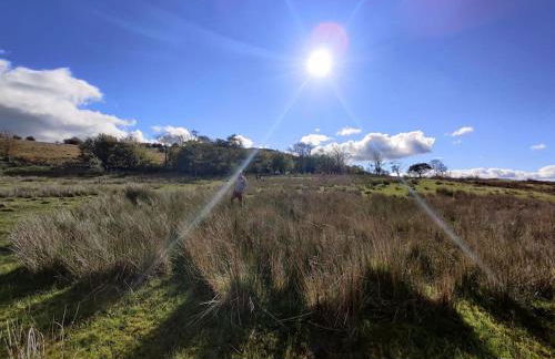 Bethel Nook, a cosy stay in the Welsh Valleys - Photo 50