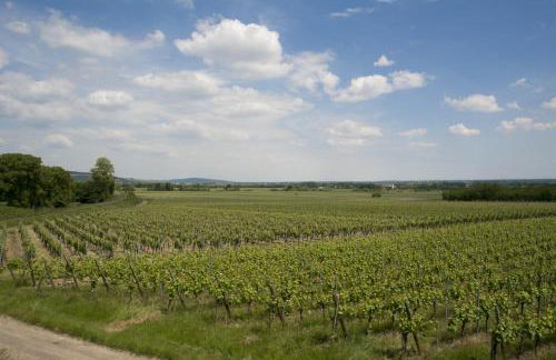 La Casa Di Tina - Foto 38