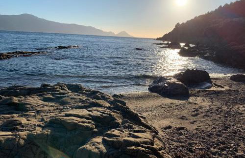 Les Asphodèles - Foto 37