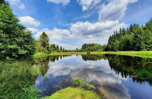 Ferienhaus am Erzgebirgskamm - Foto 18