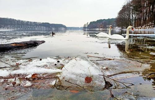 Scandinavian-style lake house - Photo 8