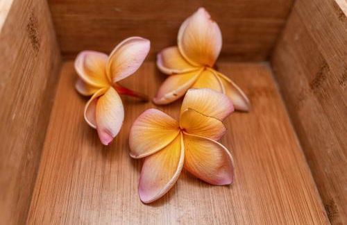 Quinta do Charco - Photo 22