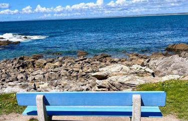 Chalet familial avec piscine-Finistère Sud - Foto 32