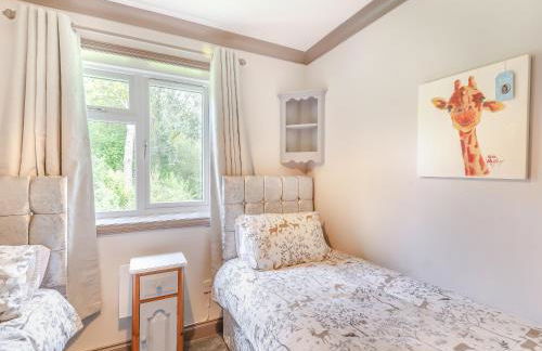 Kingfisher - Uk41034 - Foto 12