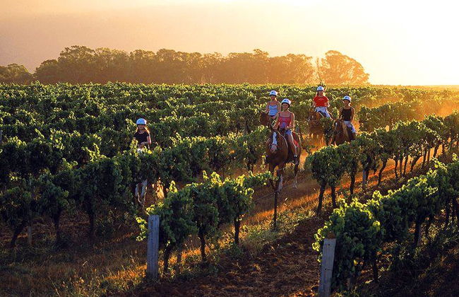 An Ideal Wine Country Getaway Villa - Photo 11