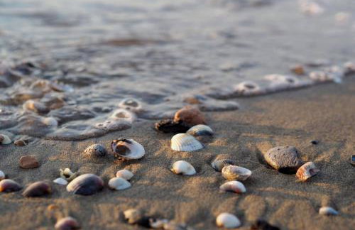 "Le Betulle 10" cinque minuti dal mare, Self check in - Foto 27