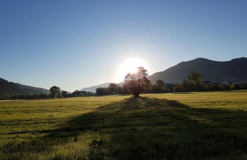 Ferienwohnung am Siegelbächle - Foto 3