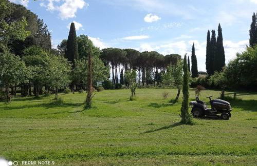 Villa Tommasini La torre - Foto 26