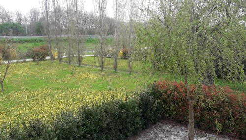 Agriturismo Al Navile - Foto 5