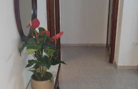 Casa Fernando y Maruja - Foto 8