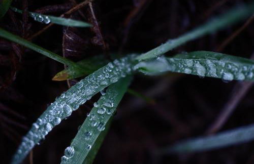 Capa da Encosta - Foto 45