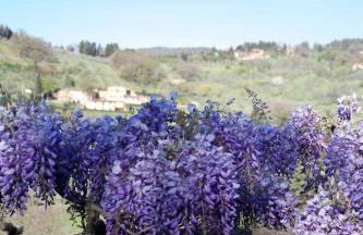 Villa di Campolungo Agriturismo - Foto 36