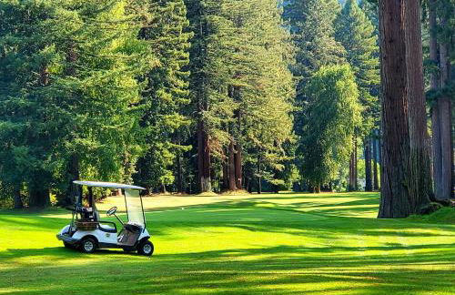 Russian River Bungalow - Foto 34