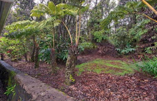 Aloha Ohia Hale 1 Bedroom Home by RedAwning - Foto 34