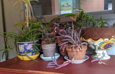 1870s Stained Glass Nostalgia - Foto 51