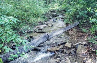 Waterfront Cabin 20 Mins to National Park & Massanutten! - Foto 36