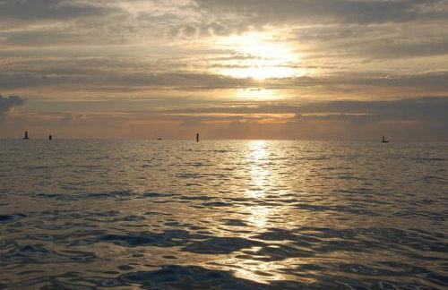 Roulotte Gîtes O bien-être massage Spa Séjour bien-être en hébergement insolite roulotte Karantez ou en gîtes Melon ou Yock à 800 m des plages - Foto 63