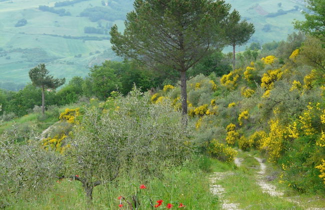 House With Pool, Garden and Wifi in Medieval Village, With Panoramic Views - Foto 36