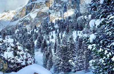 Alpine Chalet CESA VEDLA -nature & silence - Foto 70