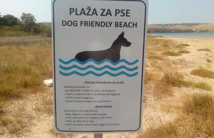 Apartment Danica - Foto 28