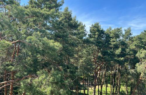 Family & Business Sauna Tężnia Apartments No 20 Leśny nad Zalewem Cedzyna - 1 Bedroom with Private Sauna, Bath with Hydromassage , Terrace, Parking, Catering Options - Foto 66