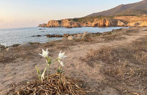 Villaggio Malfidano - Foto 28