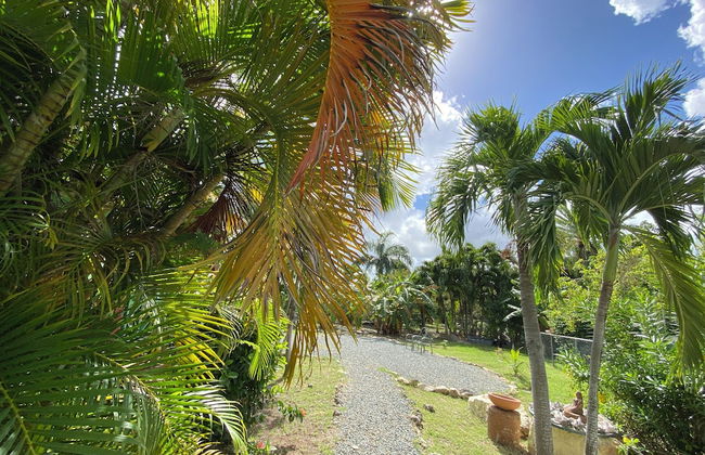 The Greenside Cottages - Foto 19