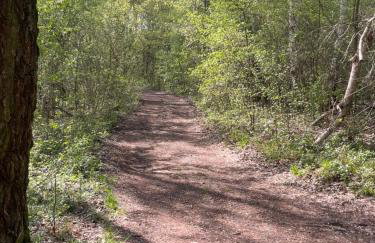 Siedlisko Mokra - Leśniczówka pod Jaworem - Foto 24