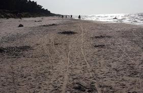 Domki Skandynawskie Kopalino - Foto 28