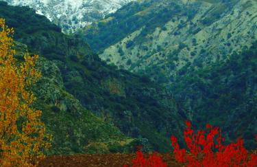 Apartamentos Turísticos Cumbres Verdes - Foto 28