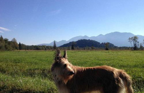 Grafenaschau Comfortable holiday residence - Foto 19