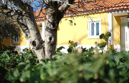 Casal da FontAgrão - Foto 4