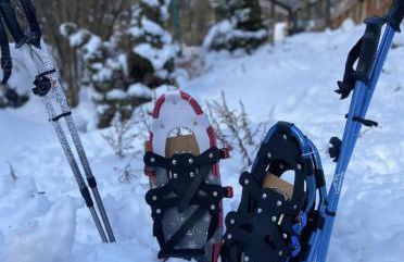 2 Lake Cabins Poolhottub Game Room & Courts - Foto 36