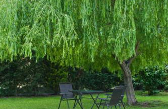 Villa Maltina - Foto 54