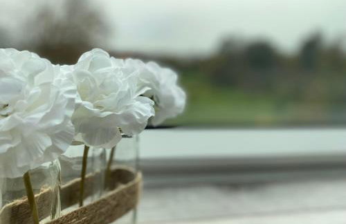 Les Rives des Habsbourg - Foto 43