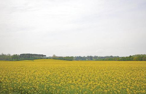 Nice Apartment In Marti Pi With Wifi - Foto 22