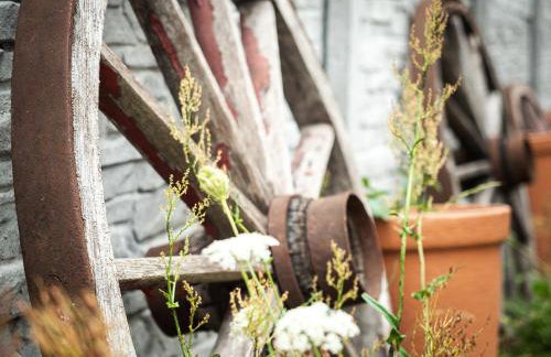 Agroturystyka Zaborski Sad - Foto 22