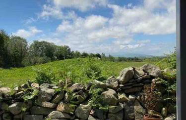 Rockschapel Cabin 30B - Photo 13