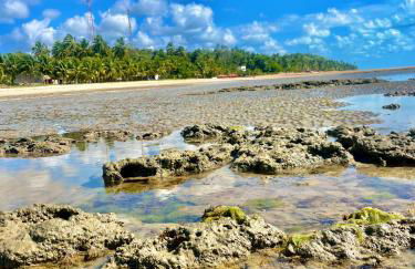 Casa Verde Japaratinga - Foto 36