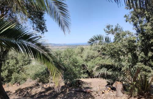 Villa del Palmeto - Foto 32