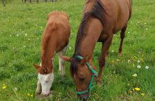 Maja Pokoje z Widokiem - Foto 26