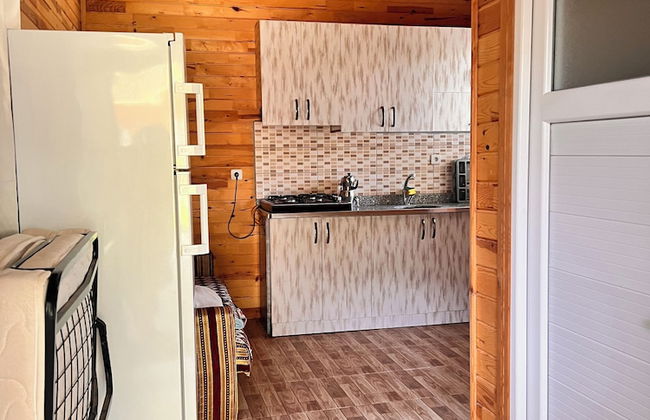 Adrasan Parlak Evleri - Foto 30