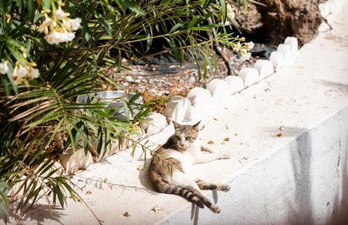 Ocean views from every corner - Foto 38