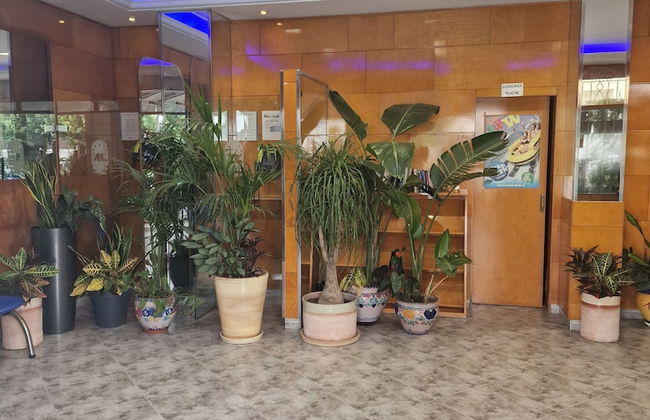 Europa Family Apartments - Photo 4