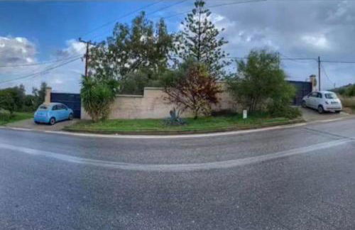 Lemon & Lavender - Photo 31