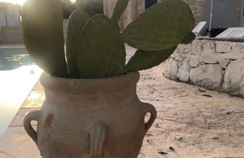 Villa Corradina - Photo 39