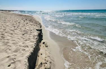 CASA ELAIO - immersa negli ulivi con vista sul mare Ionio - Foto 55