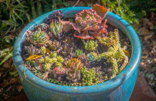 Nature Inspired Villa Designed for Wellness - Foto 108